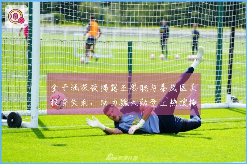 金子涵深夜揭露王思聪与秦岚医美投资失利，助力魏大勋登上热搜掩护真相